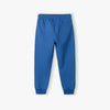 L&S VR.LEGACY Royal Blue Fleece  Trouser 13851