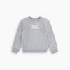 FC Better Together Grey Sweatshirt 13748