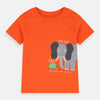 B.X Elephant & Tortoise Printed Orange Tshirt 5096